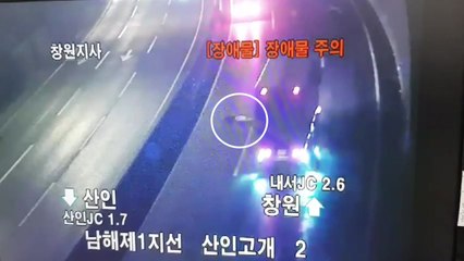 아찔한 고속도로 보행...신속한 출동에 '구사일생' / YTN