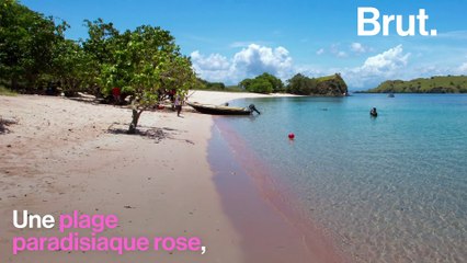 Indonésie : la "Pink Beach" est recouverte de plastique
