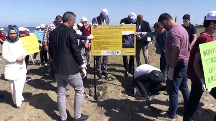 Sahildeki kum zambakları koruma altına alındı - HATAY