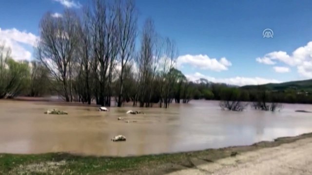 Karasu Nehri taştı - ERZİNCAN