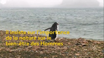 Notre mode de vie menace-t-il la vie animale ?