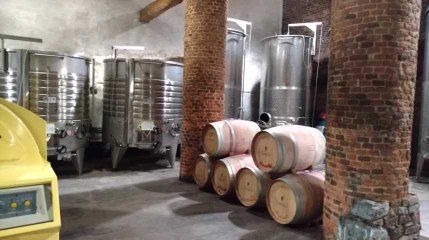 Découverte de la cuverie du Domaine du Chenoy