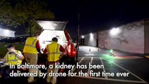 Like Uber, but for organs: first kidney delivered by drone