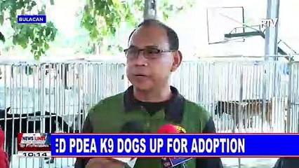 Retired PDEA K-9 dogs up for adoption