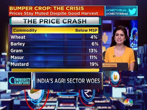 Government should implement Swaminathan committees recommendations, says agri economist YK Alagh