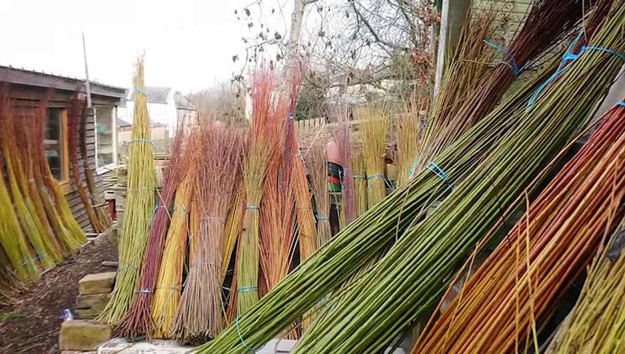 Willow Artist - Ruth Thompson!