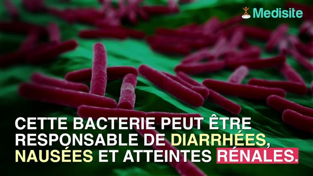 13 enfants hospitalisés après le rappel de fromages contaminés
