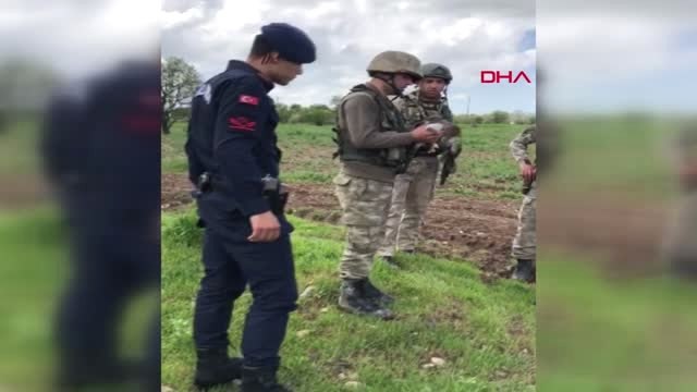 Elazığ Jandarmanın Yaralı Bulduğu Şahine Tedavi