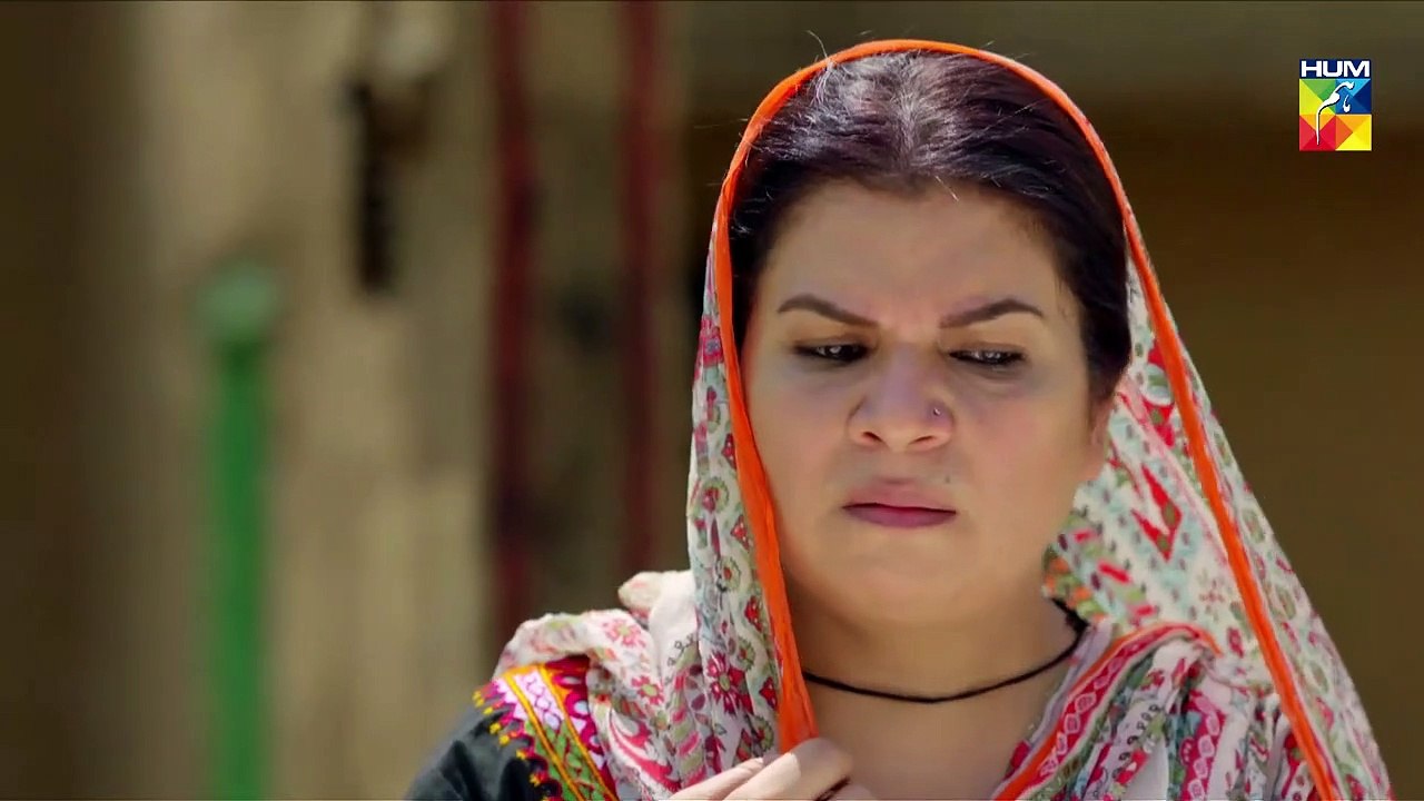 Baandi Last Epi HUM TV Drama 3 May 2019