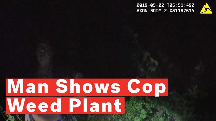 Florida Man Shows Off His Marijuana Plant To Police, Offers Them A Smoke, Gets Arrested
