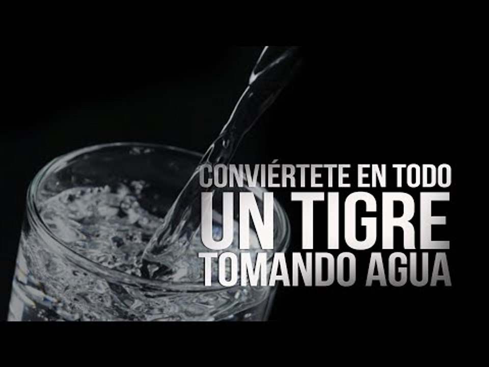 Cómo ser un tigre en la cama tomando agua   La Alcoba de Elsy Reyes