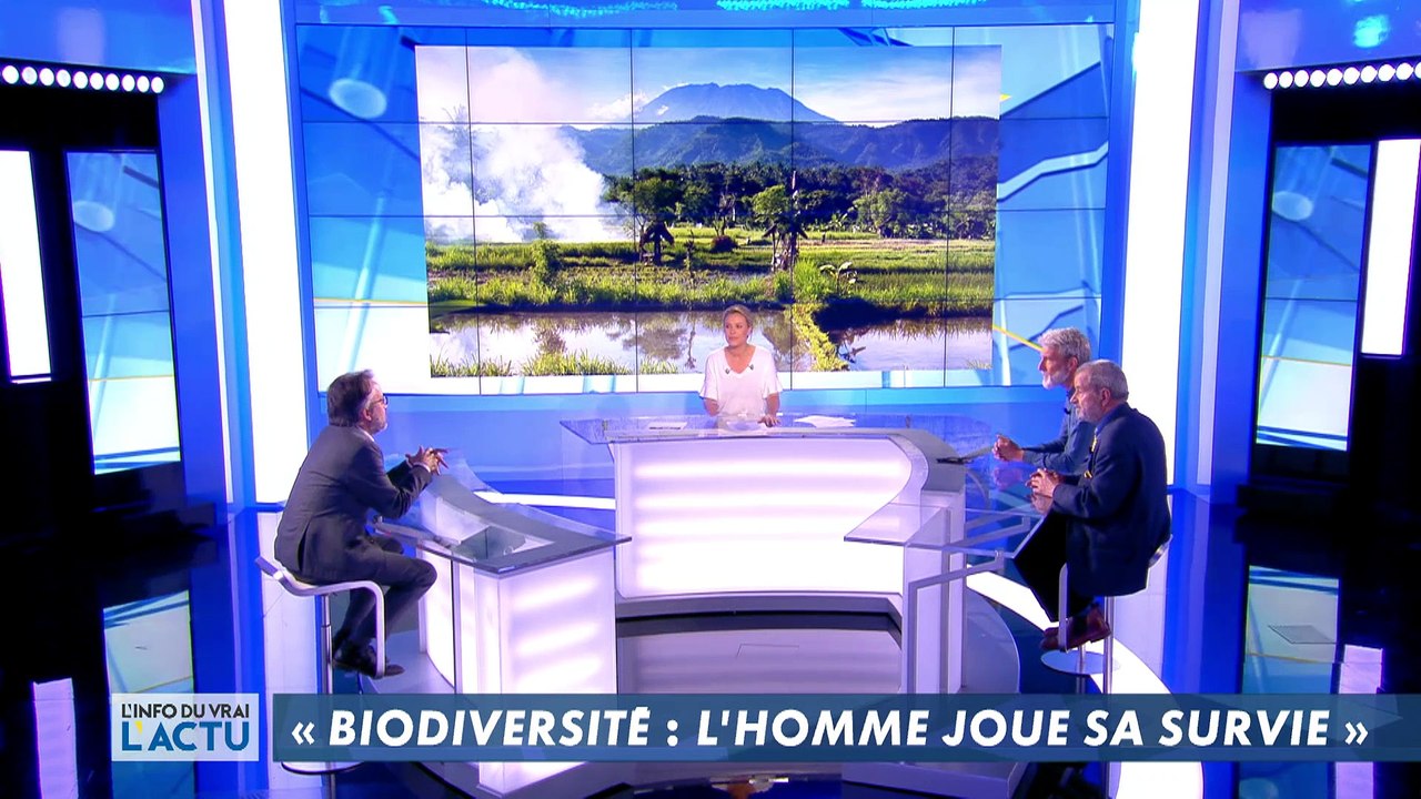 L'Info du Vrai l'actu - L'Info du Vrai du  du 03/05 - L'info du vrai - CANAL+