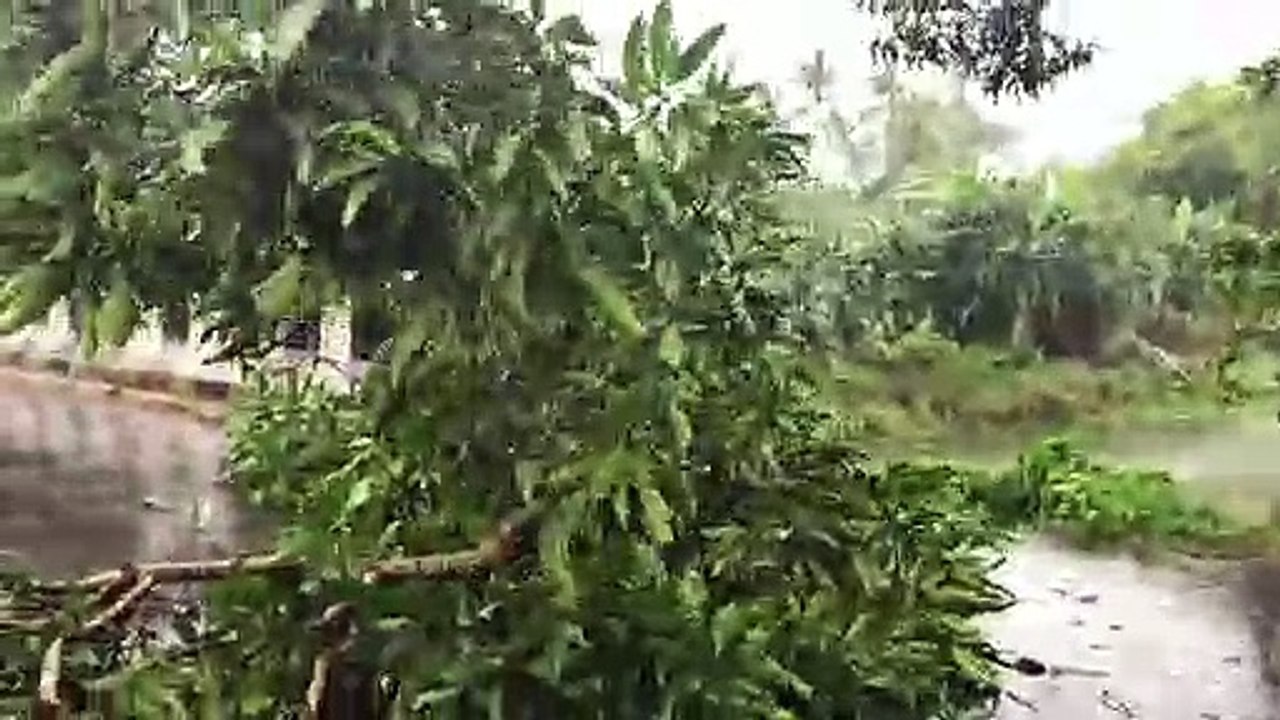 Zyklon 'Fani' tobt über Indiens Ost-Küste