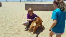 Dog and Grandma Reunited After More than a Year Apart