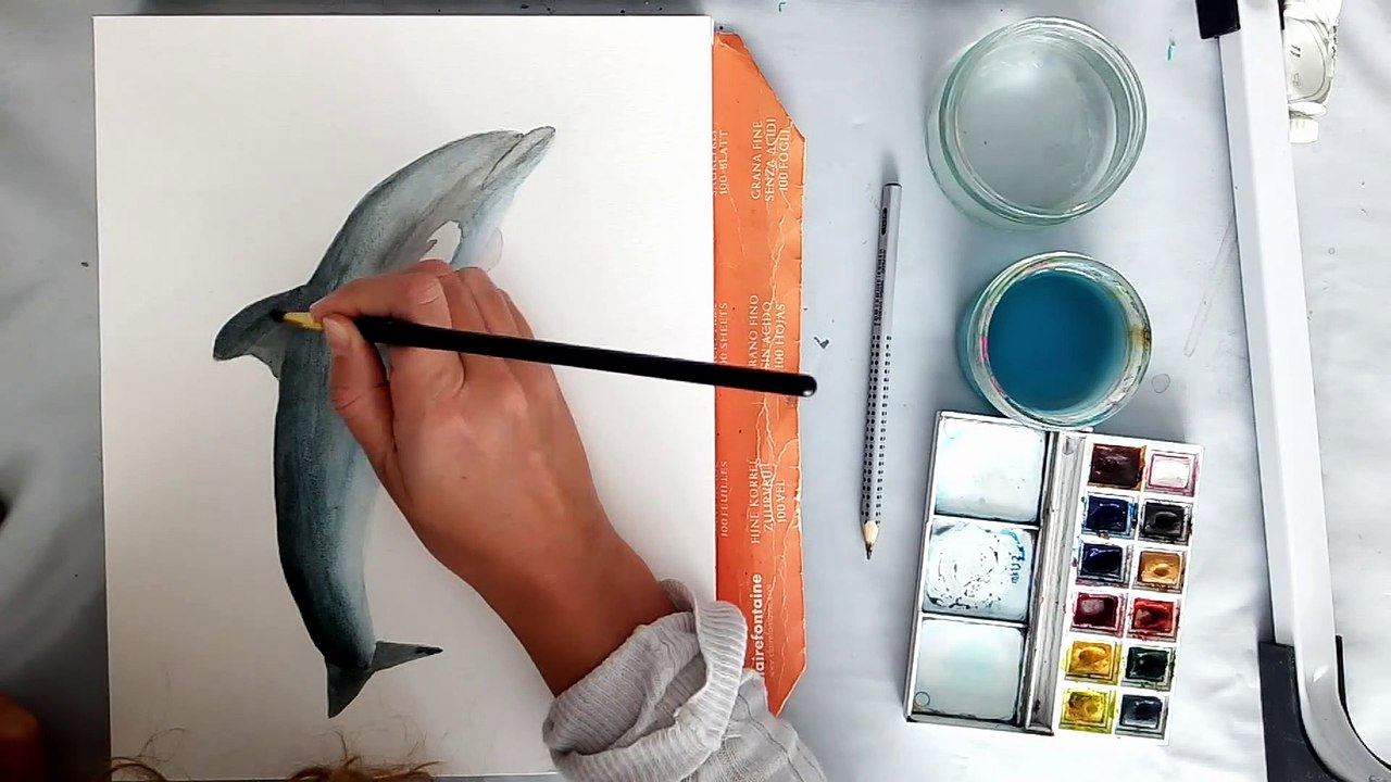 Tuto aquarelle : peindre un dauphin