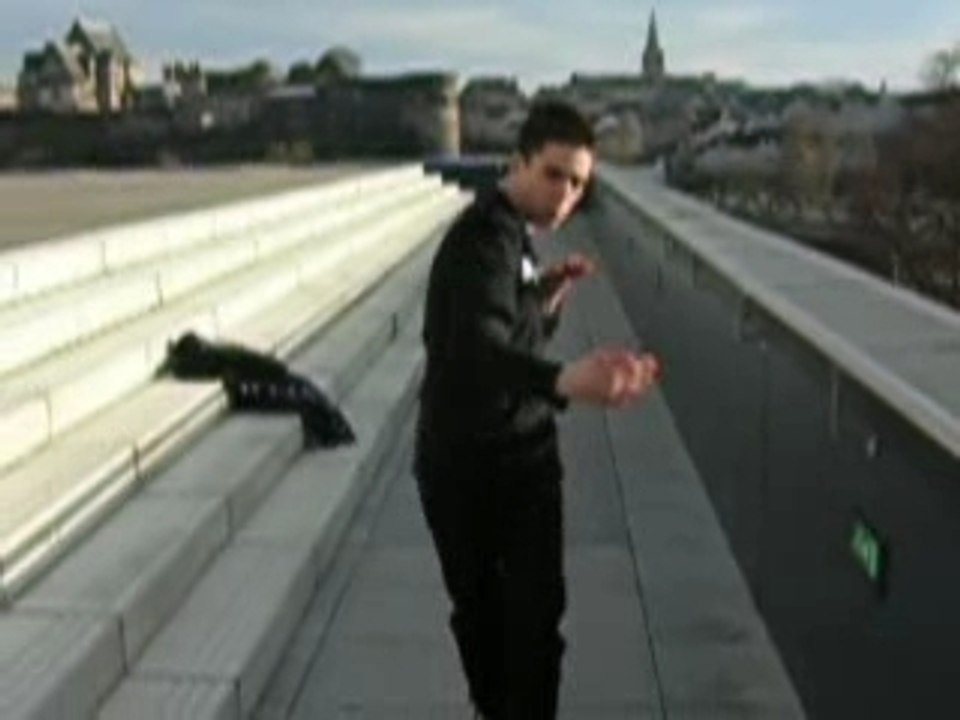 Naliic & Iazy