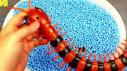 Learn Colors with Animals and Farm Surprise Toy for Kid Child with Foam Beads