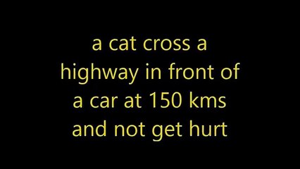 a cat cross a highway in front of a car at 150 kms and Not get hurt