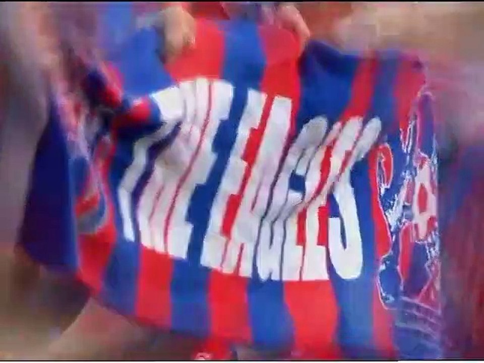 Crystal Palace  2007-08  Season Review