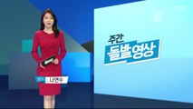 [주간 돌발영상] 5월 첫째 주 / YTN