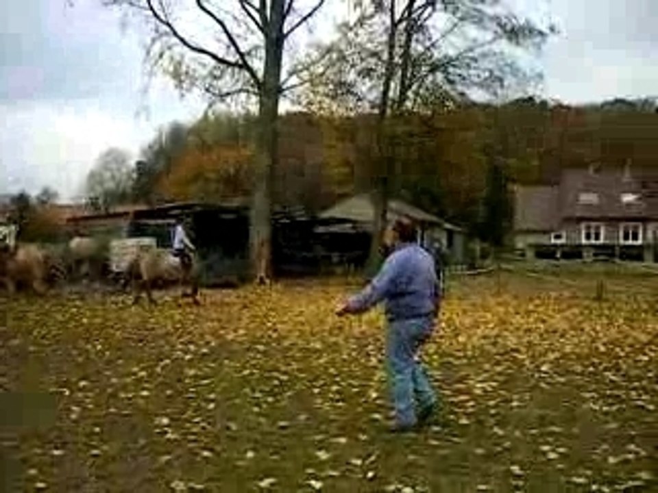 Deux sauts avec Né