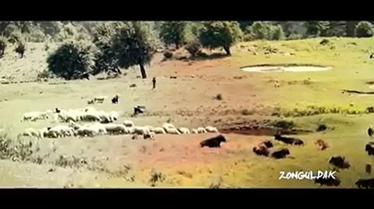 Şiirlerle Zonguldak...