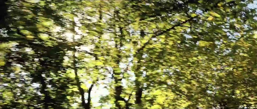 Les Plus Belles Années d'une vie Film