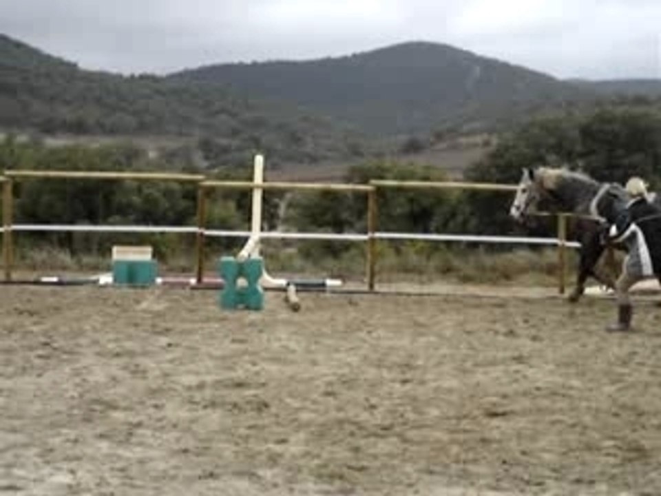 MOV04036