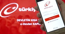 Şirket Araçlarına Yazılan Ceza Bilgileri Artık e-Devlet'ten Öğrenilebilecek