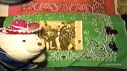 Wild Record Collection Cinco de Mayo