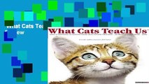 What Cats Teach Us  Review