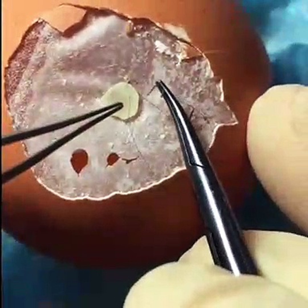 ⁣learn how to do a surgical sutures in eggs