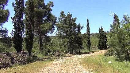 Badavut'a 'kesin koruma' kararı turizmciyi memnun etti - BALIKESİR