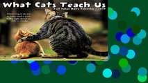 Full E-Book  2017 What Cats Teach Us Box Calendar  For Kindle