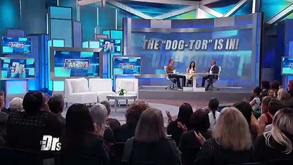 Can You Teach a Dog to Perform CPR?  the doctors