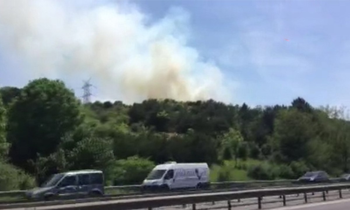 Kavacık'ta ormanlık alanda yangın