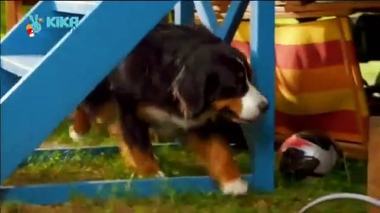 Löwenzähnchen 18 Keks und die Fliegenfalle