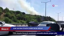 TEM Kavacık’ta orman yangını: Çok sayıda itfaiye ekibi sevk edildi