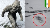 Yeti nyata? Angkatan Darat India klaim temukan jejak kaki misterius - TomoNews