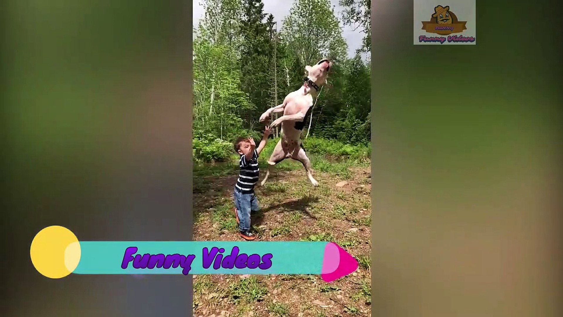 ⁣Funny Pets