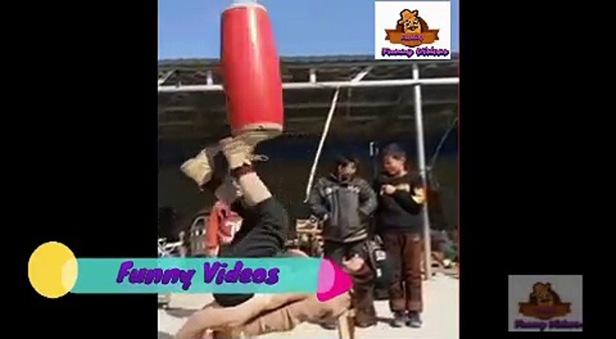 ⁣Funny Pets 6