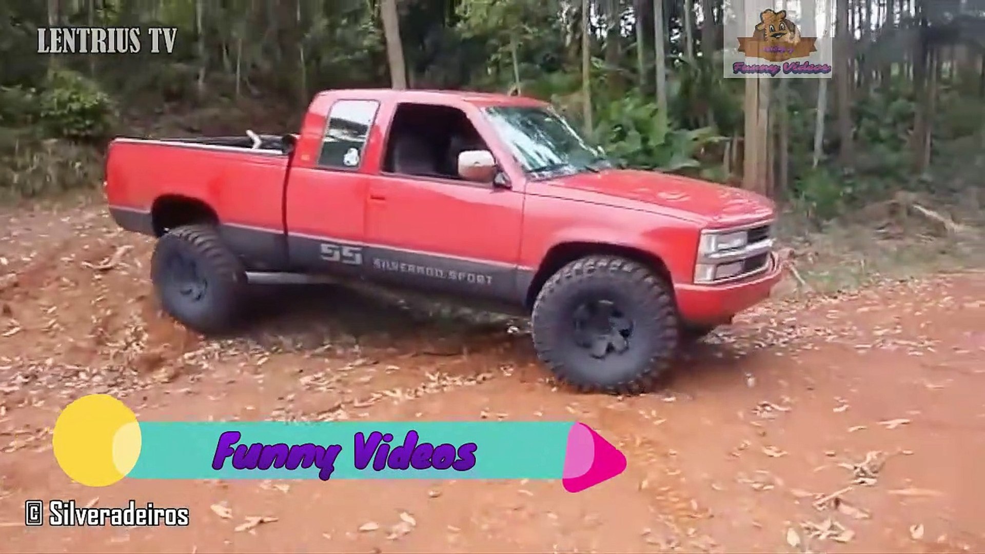 Funny Pets 3