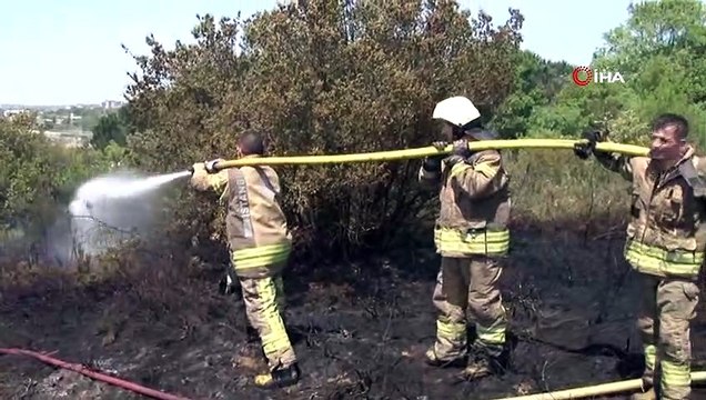 TEM otoyolu Kavacık mevkiinde ormanlık alanda yangın çıktı
