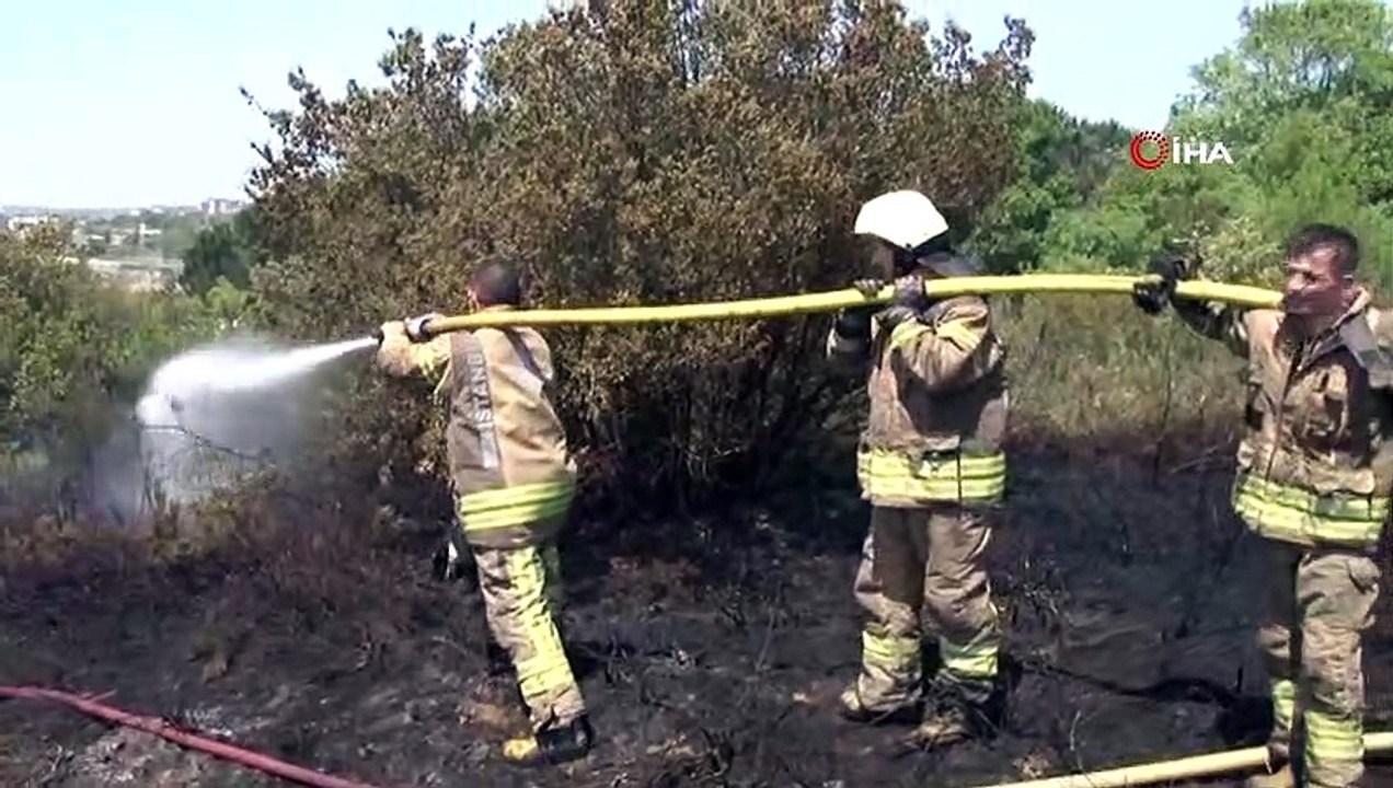 TEM otoyolu Kavacık mevkiinde ormanlık alanda yangın çıktı