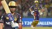 IPL 2019 : Shubman Gill Slams Match Winning Fifty During Kings XI Punjab v Kolkata Knight Riders