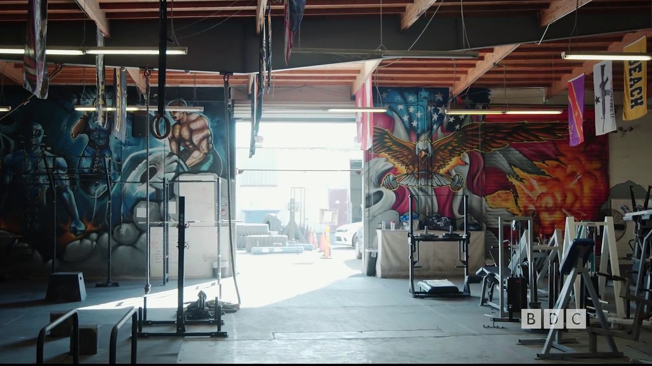 GYM WILDLIFE - video Dailymotion