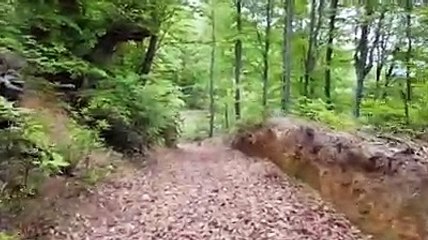 Tolga Aral, doğa severleri Kandilli'ye davet etti (1)