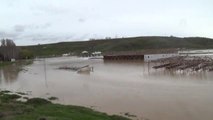 Bitlis'te Şiddetli Yağış