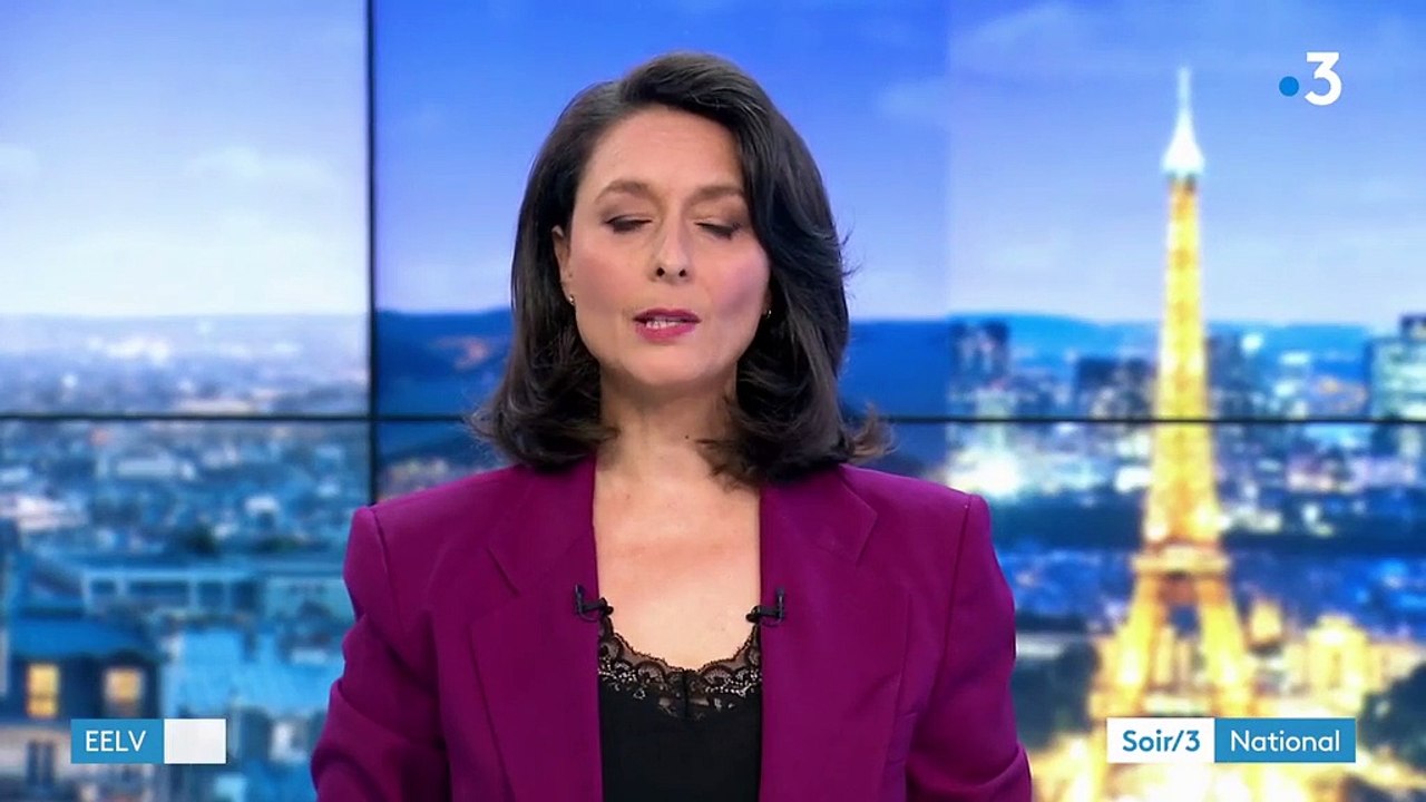 Europe Ecologie Les Verts dévoile son plan de bataille pour les municipales