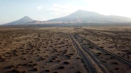 Ağrı Dağı'nın minik sürüngeni: "Topbaş keleri"